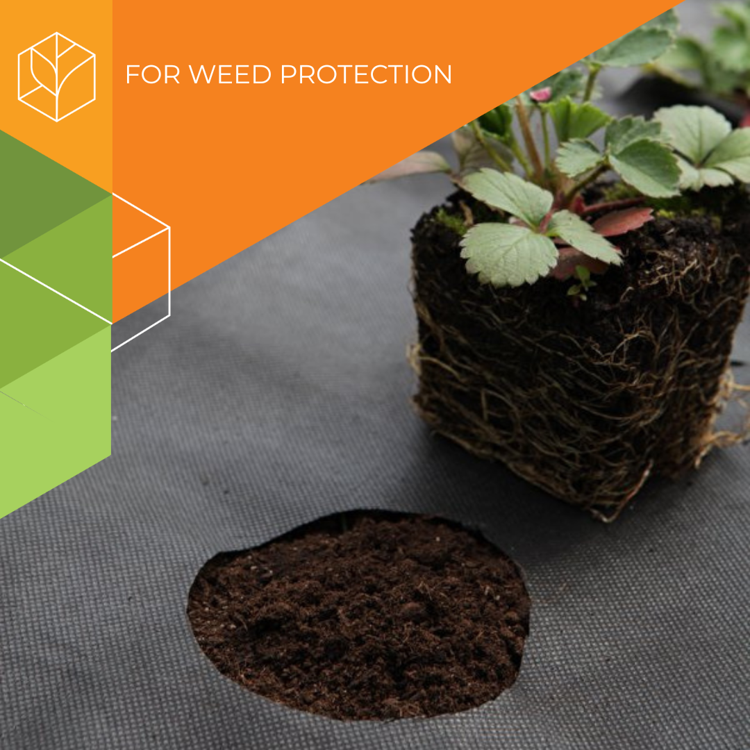 Agrotex 60-80 perforated mulch - Image 1