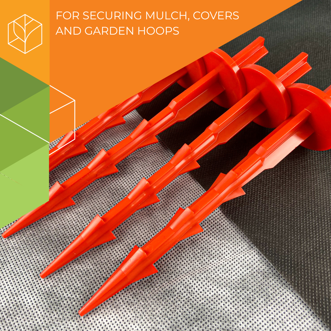 Universal Pegs - Image 1