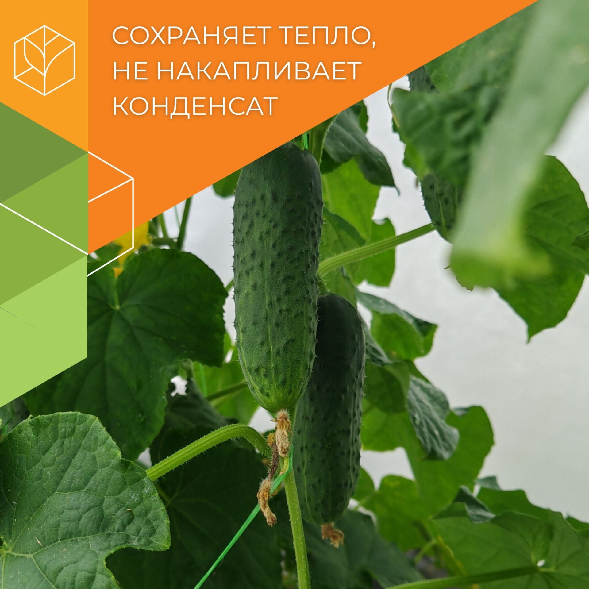 Комплект для огурцов от НИИ овощеводства - Image 1
