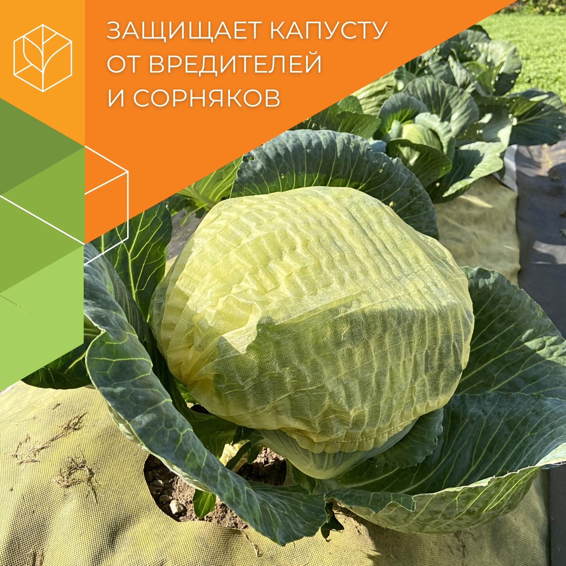 Комплект для капусты - Image 1
