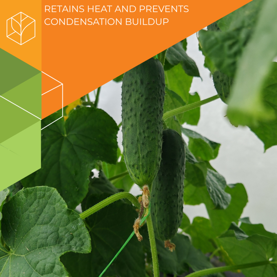 Set for cucumbers from the Research Institute of Vegetable Growing