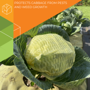 Set for cabbage - Thumb 1