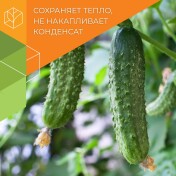 Комплект для огурцов от НИИ овощеводства - Thumb 1