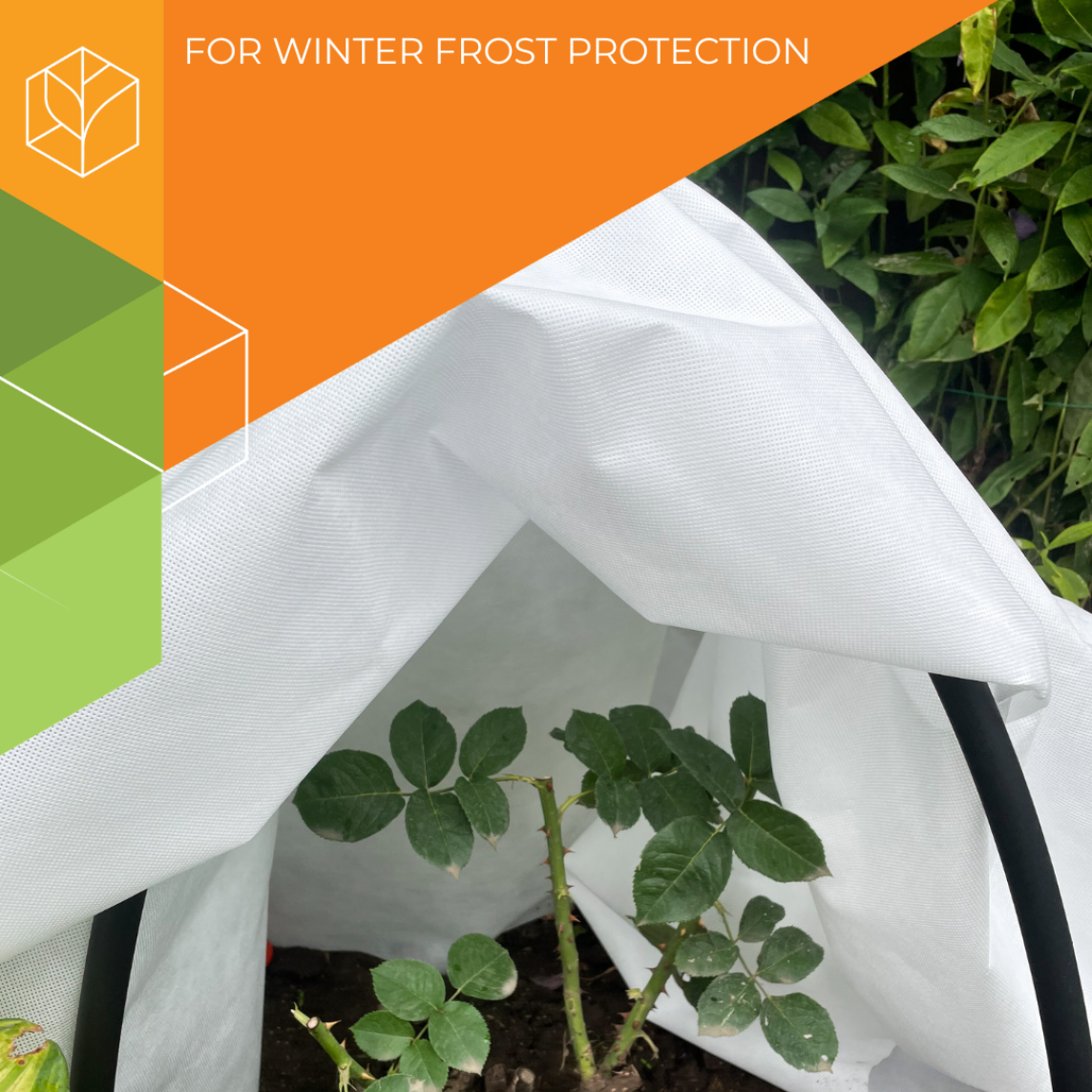 Winter cover for roses and flowering shrubs (spunbond) - Image 1