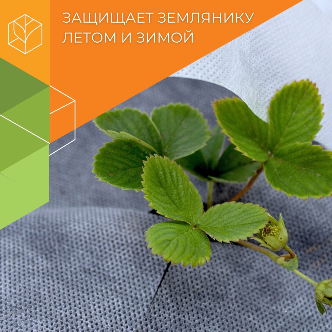 Комплект для земляники садовой (клубники) - Image 1
