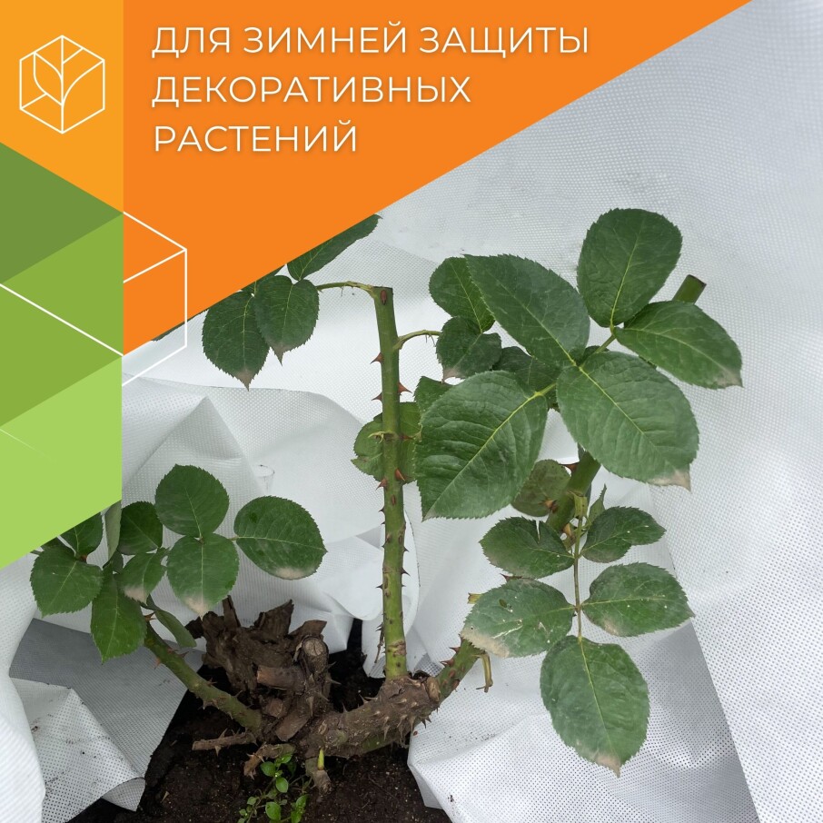Зимнее укрытие для кустарников (спанбонд)